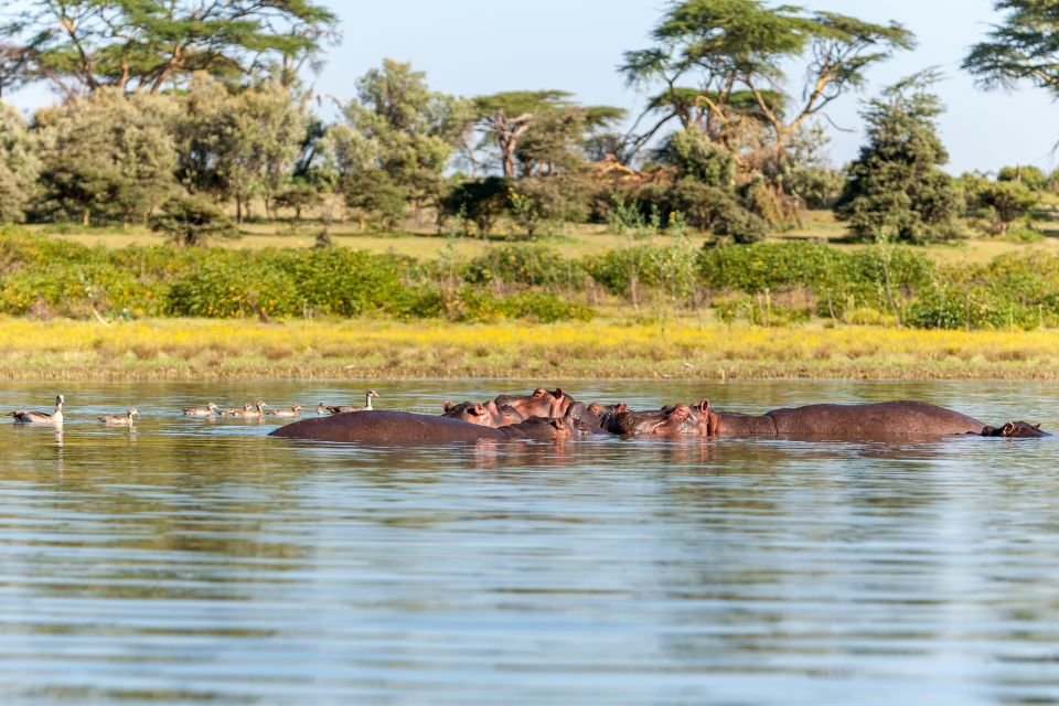 El lago Chad, Fauna y flora, Chad