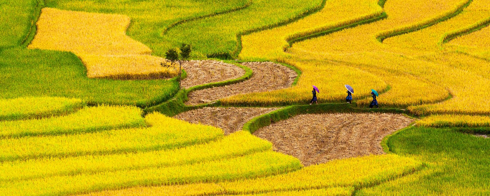 The North Truong Son cordilera. - Vietnam