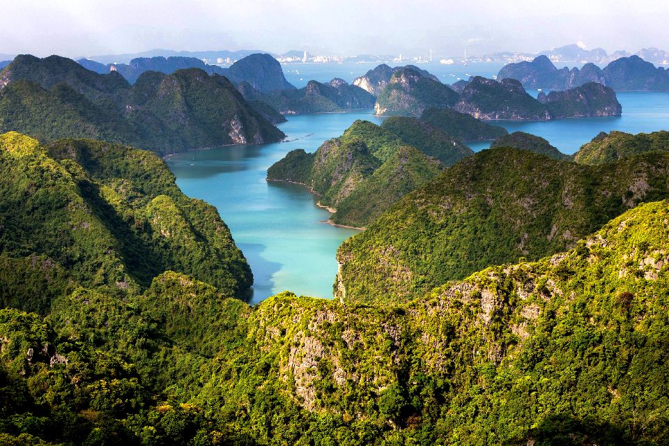 El bosque, los parques nacionales y la agricultura , Vietnam
