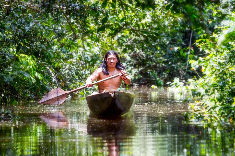Fernando de Noronha , El río Amazonas , Brasil