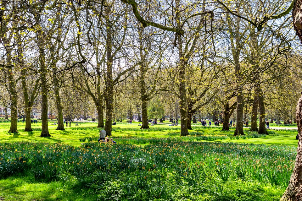 Green Park Der Schicke Park Von London England Großbritannien