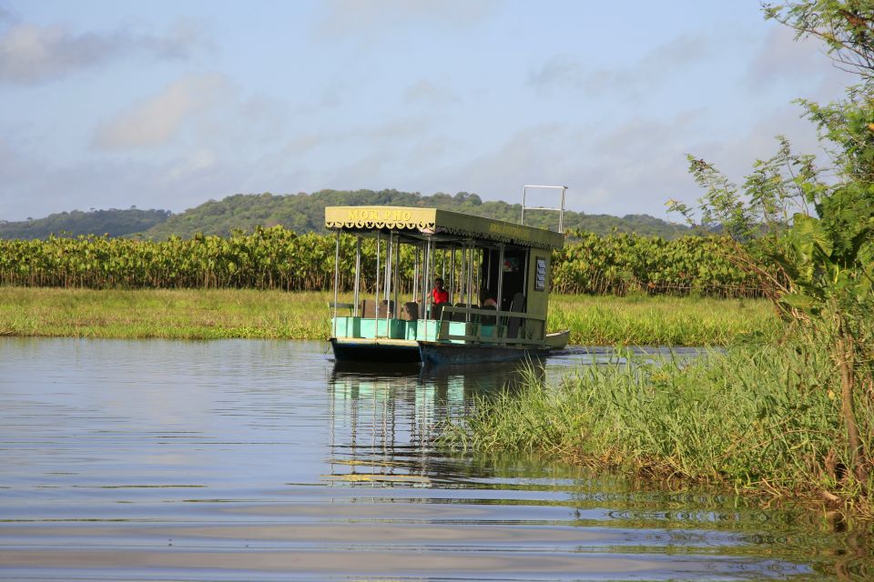 Les Marais De Kaw Roura Guyane