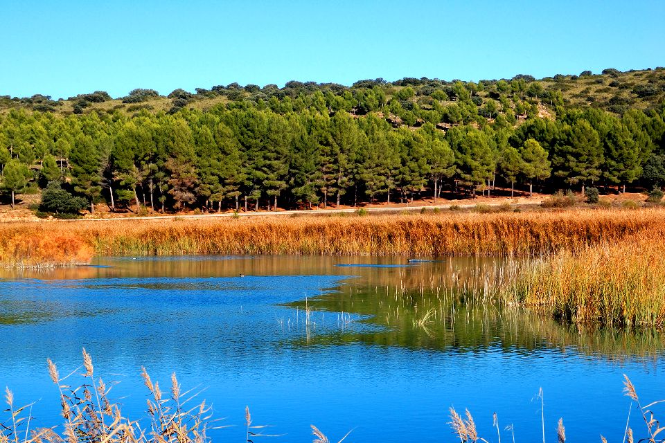 Die Lagunen von Ruidera , Spanien