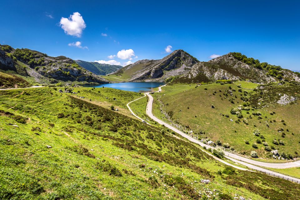 Les paysages, asturies, covadonga, lac, montagne, espagne, europe, enol, ercina