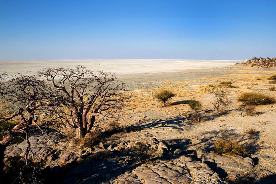 L'île de Kubu , Botswana