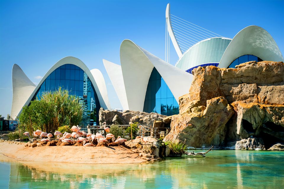 El Oceanográfico, Ciudad de las Artes y las Ciencias de Valencia, Arte y cultura, Comunidad Valenciana