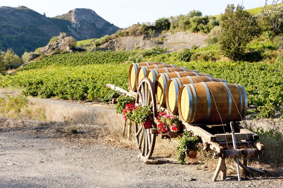 Die Weine , Die Wettbewerbe des Languedoc-Weins , Frankreich