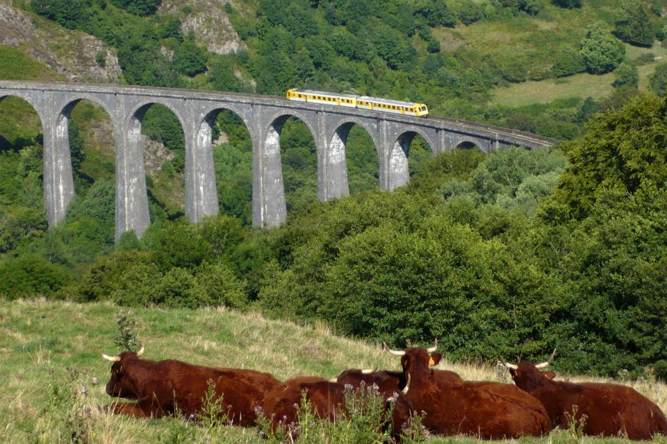 train, touristique, Auvergne, France, Europe, transport, train, barajol, viaduc, train touristique de la Haute Auvergne, Gentiane, Express.