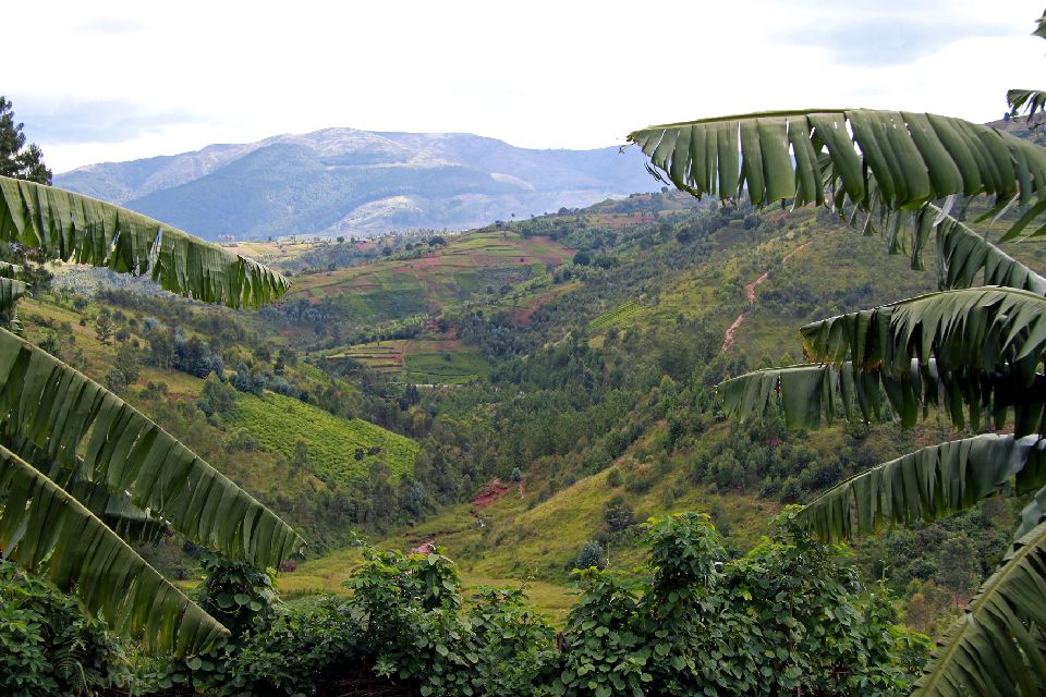 Die Agrarlandschaften , Burundi