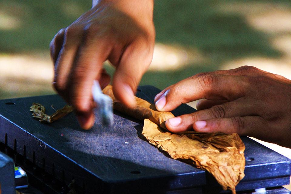 Los puros , El enrollado de los puros , República Dominicana