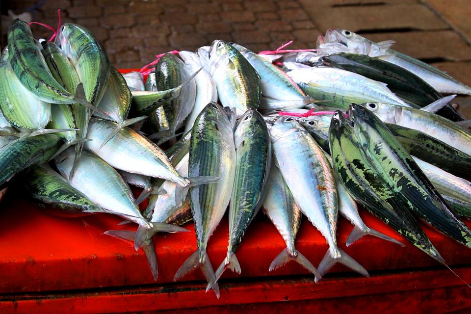 Le marché de Victoria , Une profusion de poissons , Seychelles