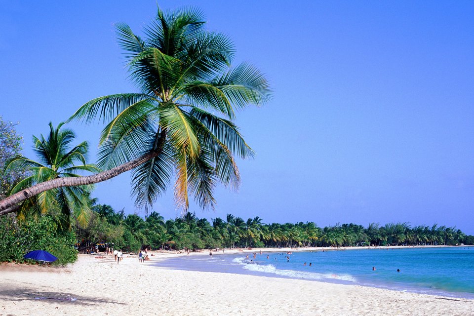 La playa de Las Salinas, La plage des Salines, Las costas, Martinica