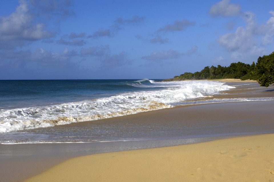 Una de las playas más bonitas del Caribe, La plage des Salines, Las costas, Martinica