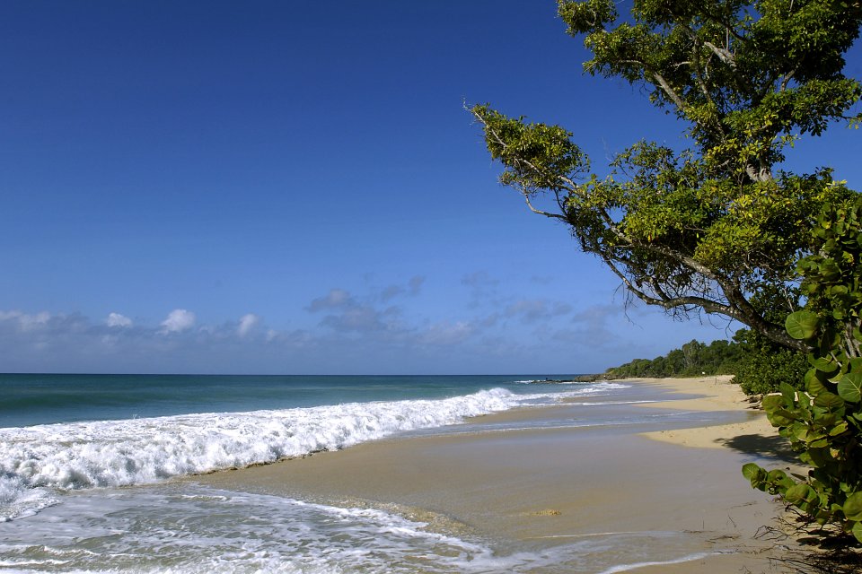La playa de Las Salinas, La plage des Salines, Las costas, Martinica