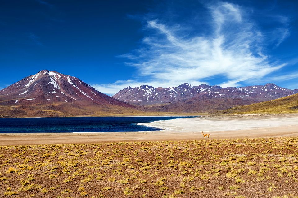 Le désert d'Atacama , Désert d'Atacama , Chili