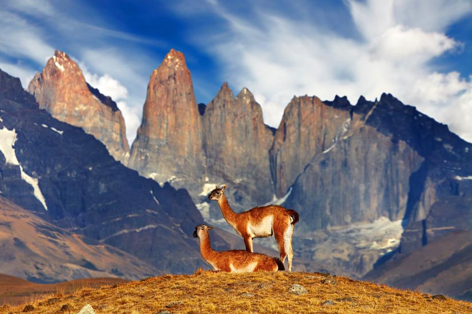Il Parco nazionale di Torres del Paine , Cile