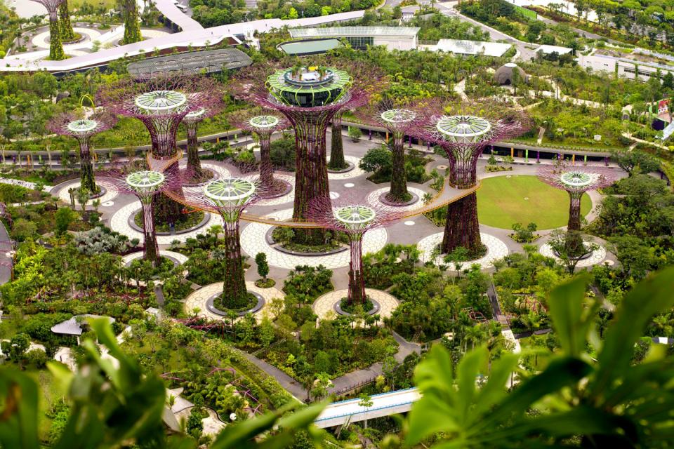 Le parc Gardens by the Bay , Structures futuristes , Singapour