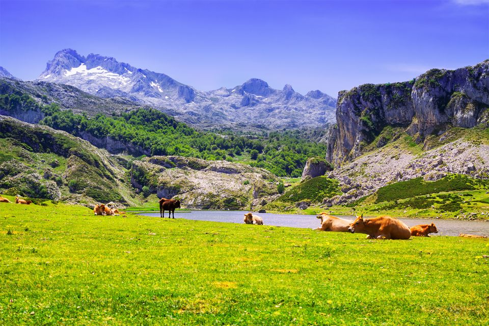 , Die Wanderungen, Die Aktivitäten und Freizeitgestaltung, Asturien