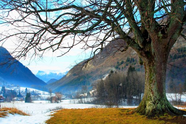 Le Parc Naturel Régional De La Chartreuse Rhône Alpes France