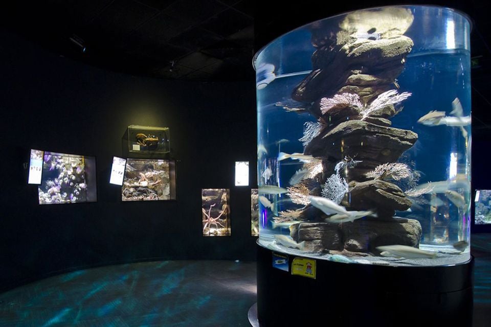 Una visión diferente del acuario, L'Aquarium de Paris, Las actividades de ocio, París, París-Isla de Francia