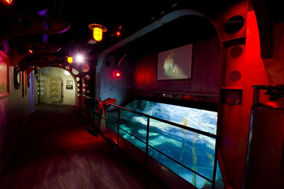 Un pez globo, L'Aquarium de Paris, Las actividades de ocio, París, París-Isla de Francia