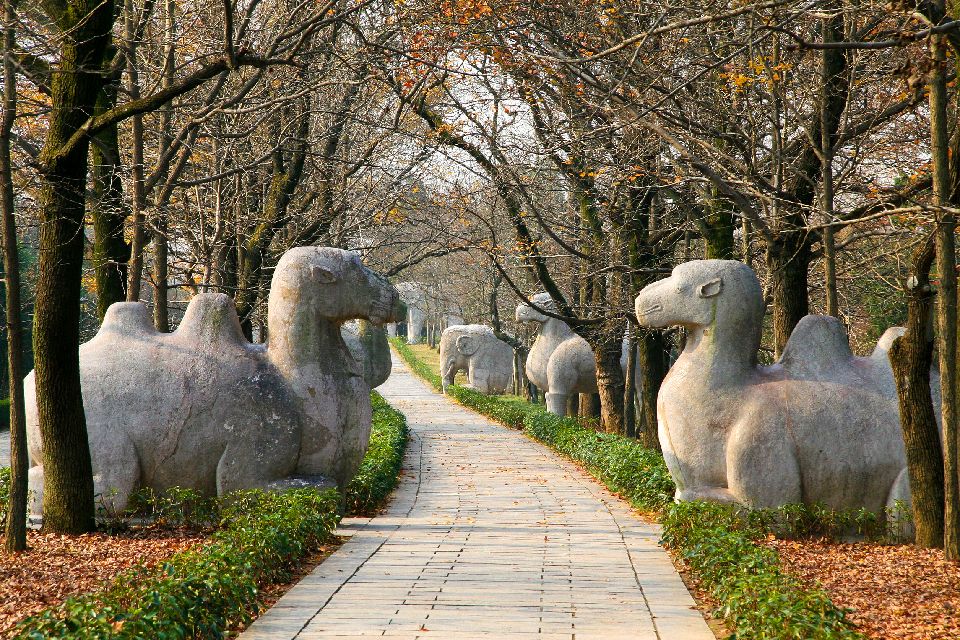 The Ming tombs (Shisanling) , The park outside , China