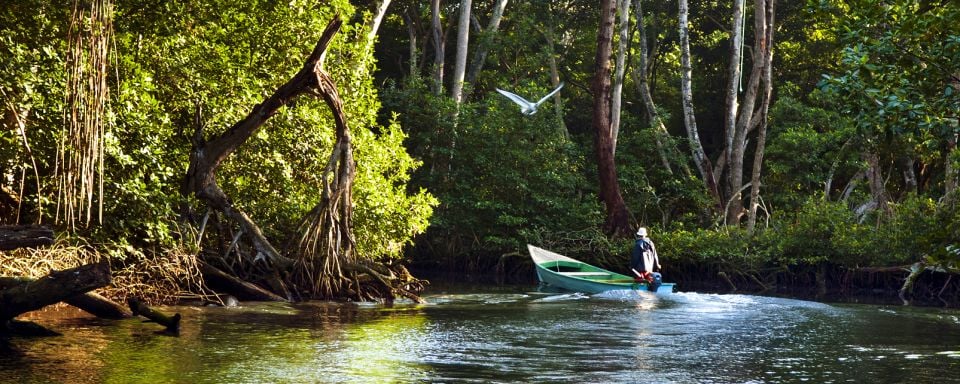 Laguna Gri-Gri - Dominican Republic