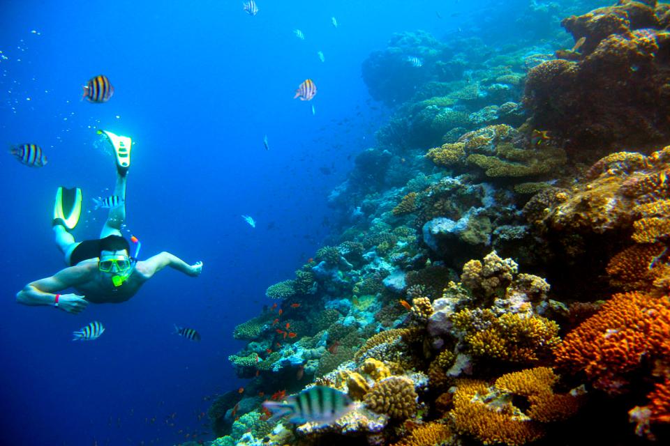 Le attività subacquee (diving, snorkeling ecc) , Indonesia