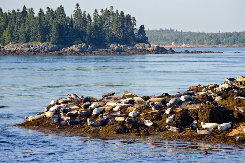 Las reservas nacionales de fauna , Canadá