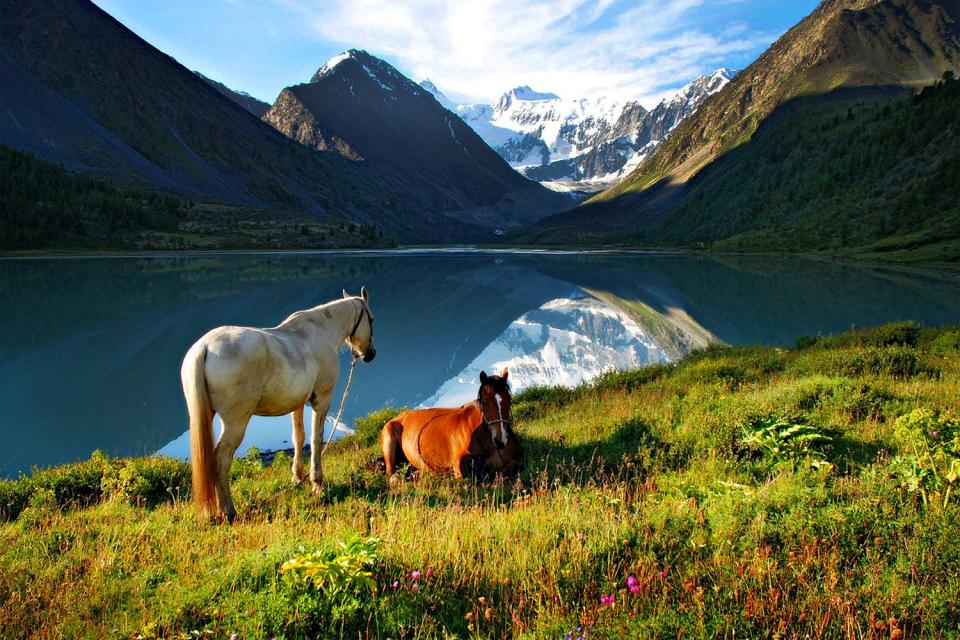 Les montagnes de l'Altaï , Russia