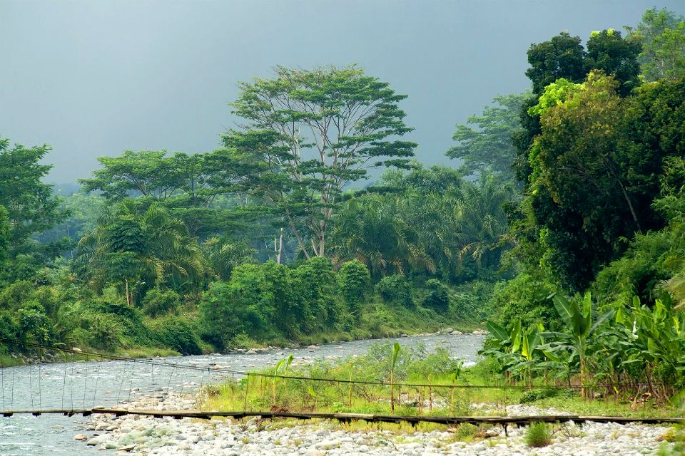 Il parco nazionale di Bukit Barisan Selatan , Indonesia