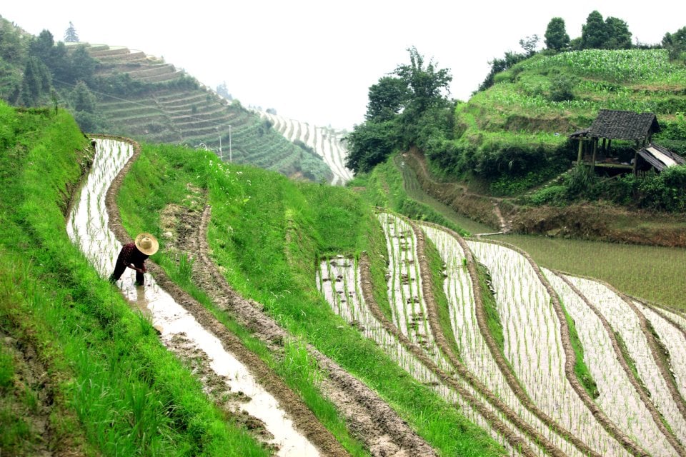 , Die Reisterrassen von Longji, Die Landschaften, Die westlichen Provinzen