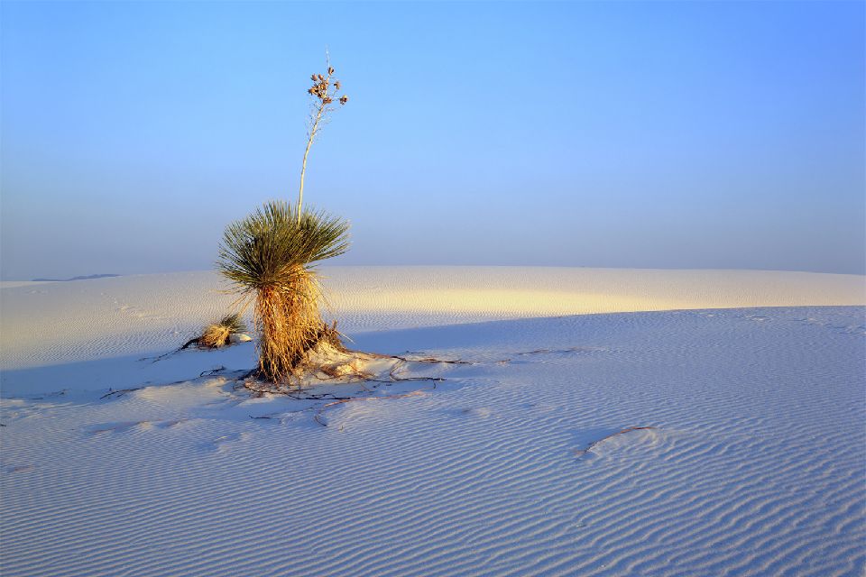 Le Monument national de sables blancs , Stati Uniti