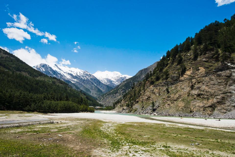 gangotri-national-park-north-india-india