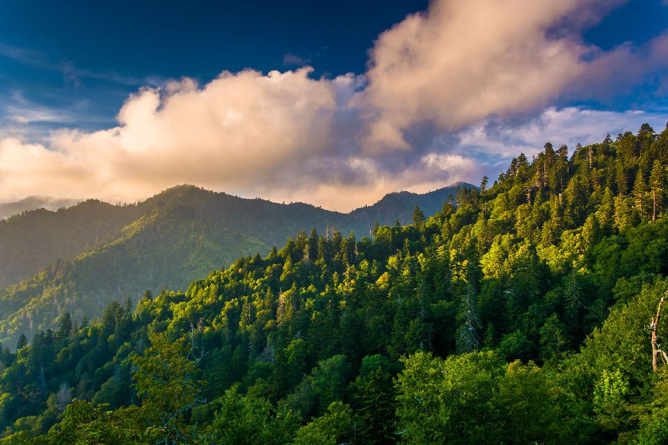 El Parque Nacional de las Grandes Montañas Humeantes (Great Smoky Mountains) , Estados Unidos