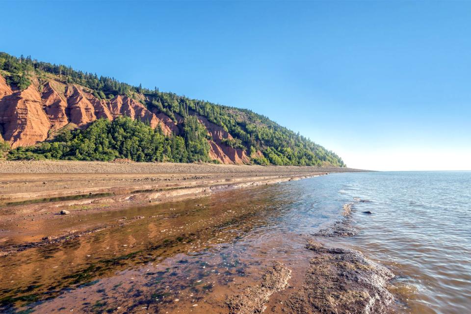 Nova Praia Fluvial Na Baía Do Fundy No Canadá Com Terreno