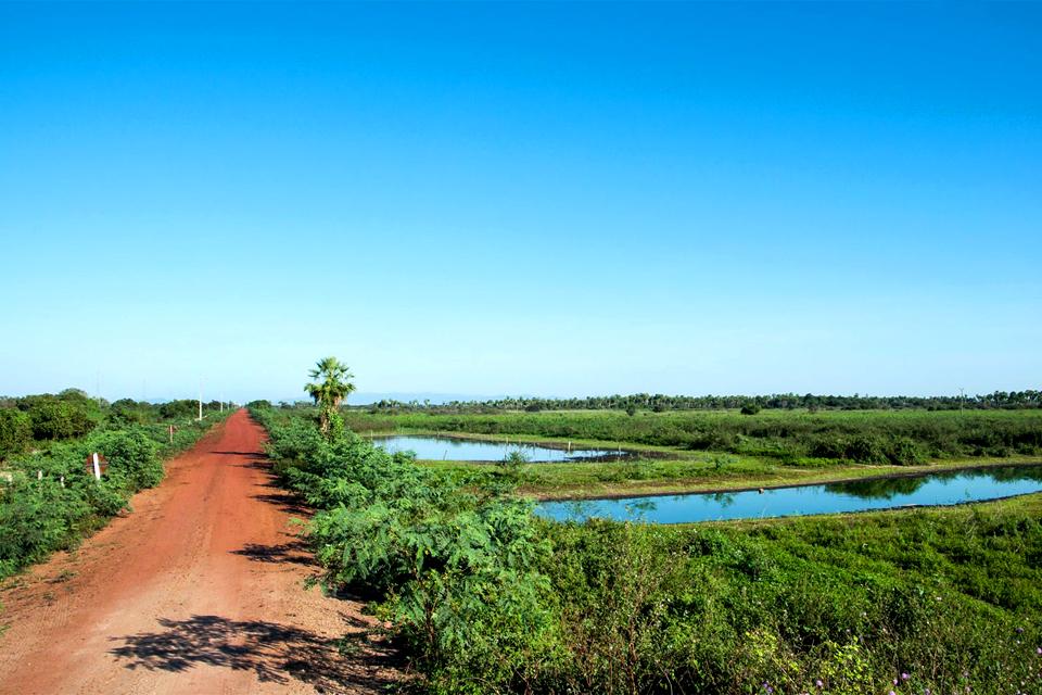 Le Pantanal , Brésil