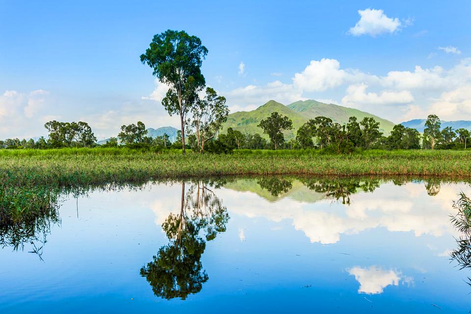 Le Pantanal , Brasil