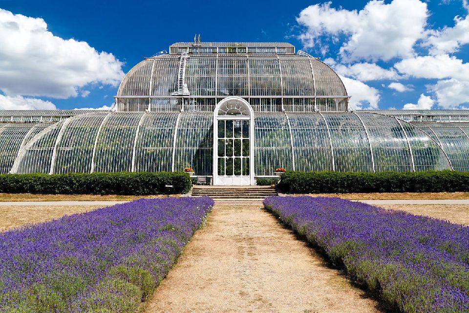 Jardins Royaux De Kew Angleterre Royaume Uni