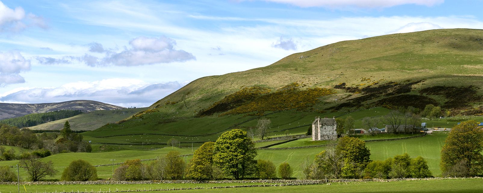 The Angus Glens - Scotland - United Kingdom