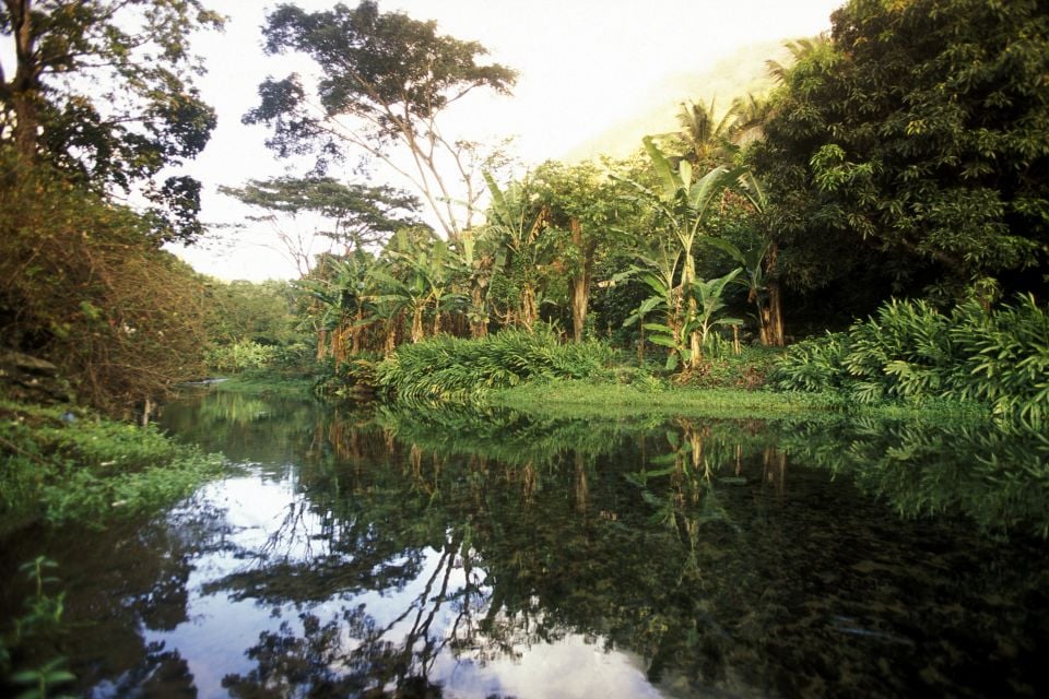 Los paisajes acuáticos de Anjouan, Los paisajes, Comoras