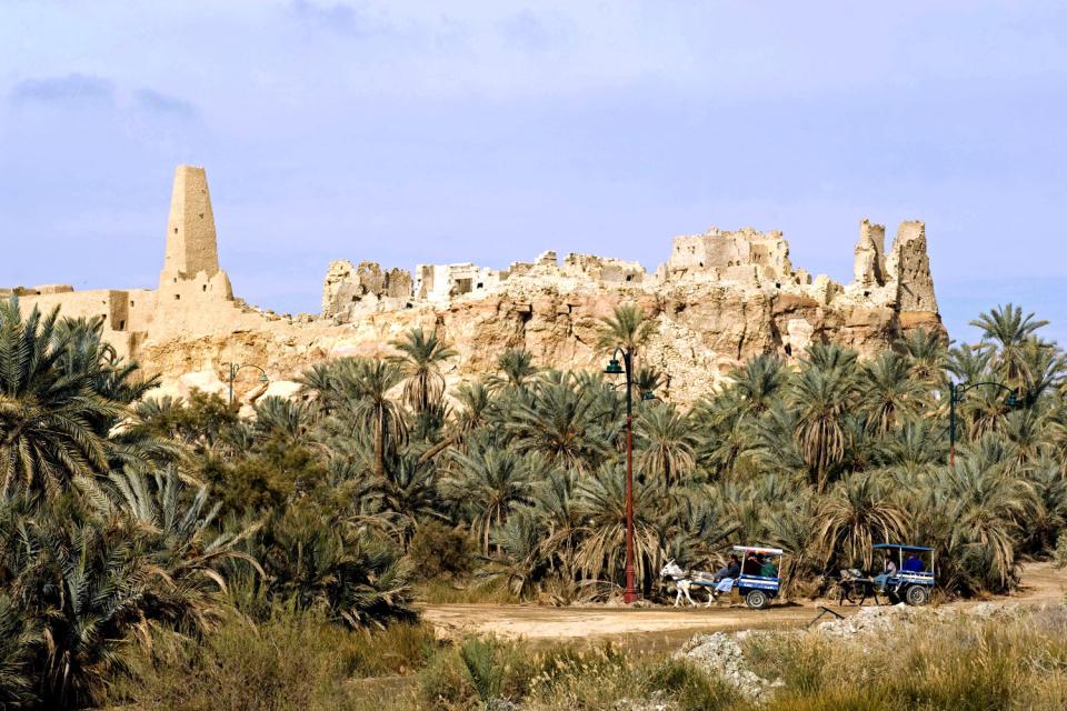 L'oasis de Siwa , Egypte
