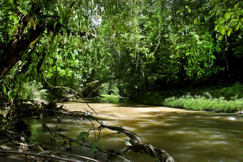 El río Sarapiqui, Los paisajes, Costa Rica