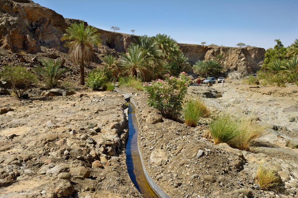 Systèmes d'irrigation aflaj , Sultanat d'Oman