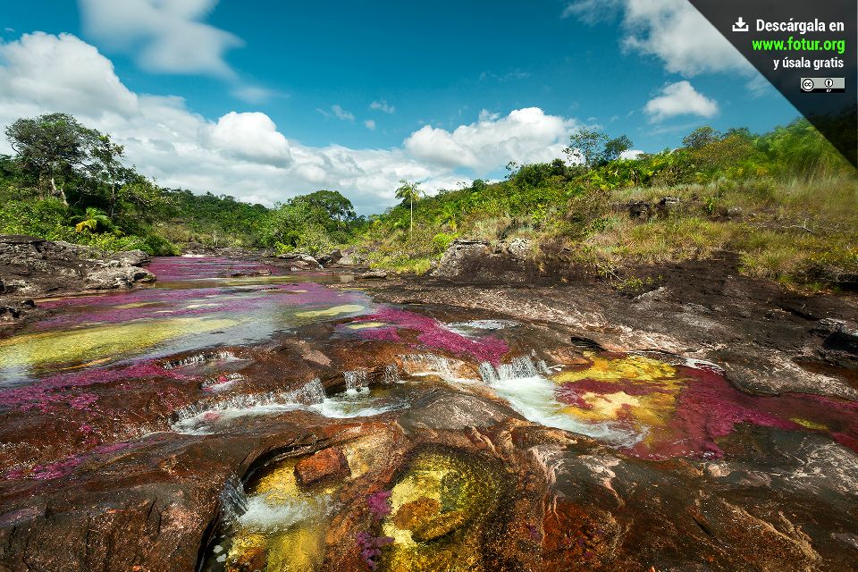 La rivière de Canos Cristales , Colombie