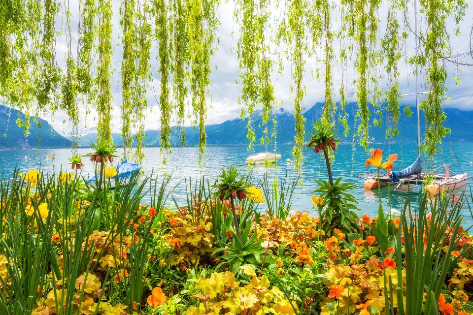 Le lac Léman , Suisse