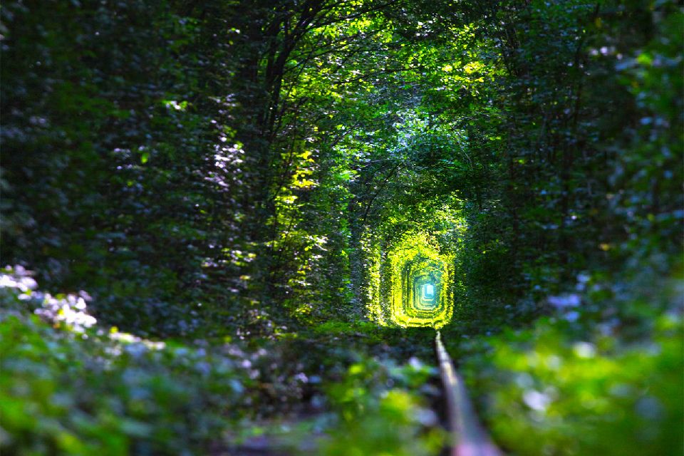 Le Tunnel De L Amour De Klevan Ukraine