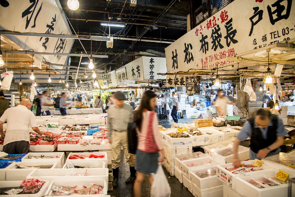 TOKYO Le marché aux poissons de Tsukiji Japon