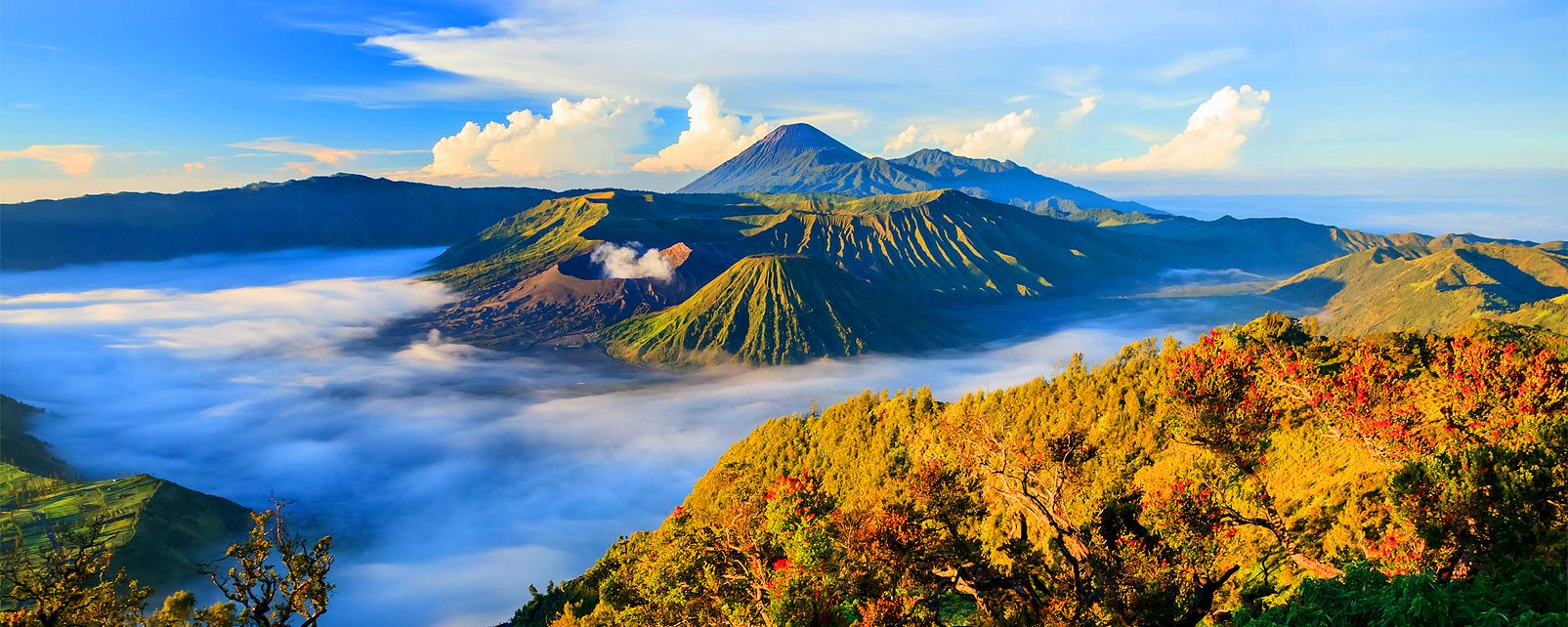 Le volcan Bromo Java  Indon sie 