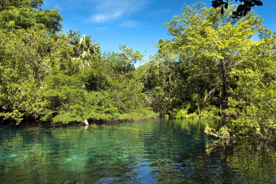 Les activités et les loisirs, Réserve écologique Ojos Indinegas Punta Cana République Dominicaine Caraïbes